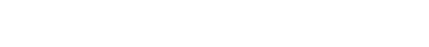 IndusInd Bank Logo