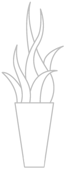 vasevase