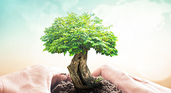 Sustainable Economic Growth