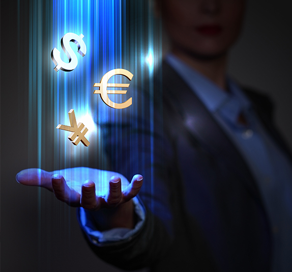 Exchange House / Money Transfer Operator