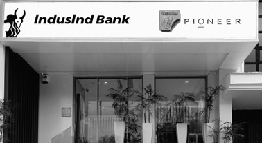 Pioneer Branch