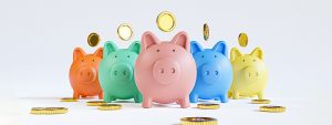 The Different Types Of Savings Accounts In India: Which One Should You choose?