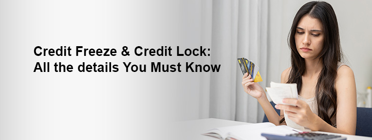 credit freeze vs credit lock
