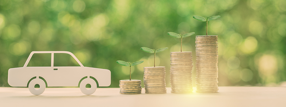 Car Loan Application - IndusInd Bank