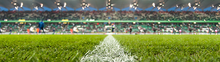 Indian Sporting System - For Sports