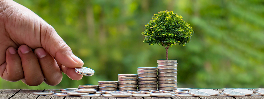 IndusInd Bank Green Fixed Deposit