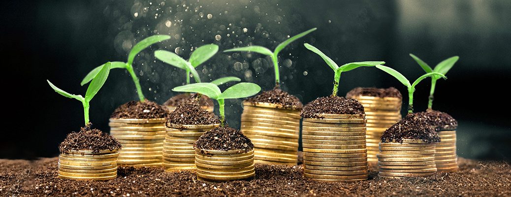 calculate Interest fixed deposit