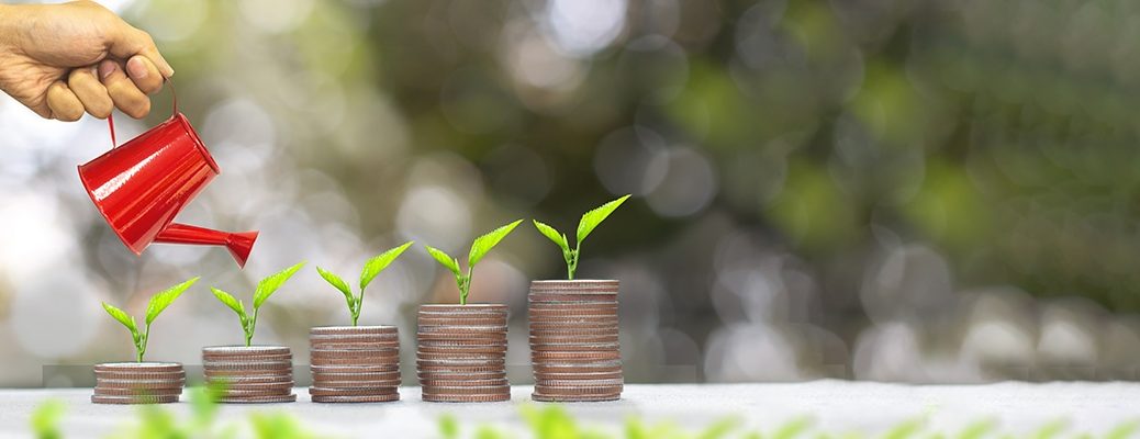 Hand watering plants growing on coin stacks, symbolizing Fixed Deposit Maturity Process. Explore IndusInd Bank Fixed Deposit to grow your wealth securely over time.