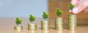 Smart Ways to Pick the Right Fixed Deposit