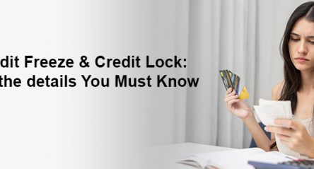 credit freeze vs credit lock